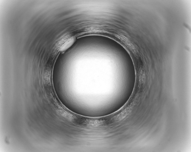 X0000093411273200711020947