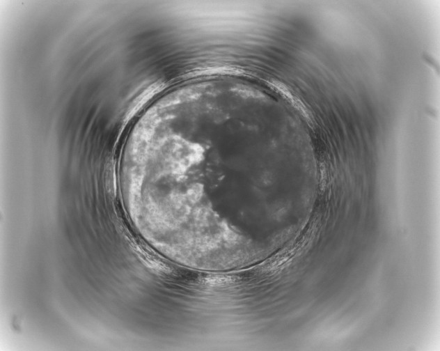 X0000093411274200711020947