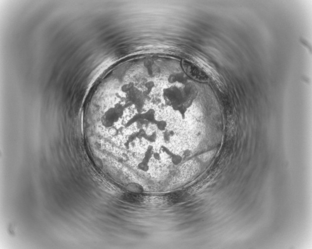 X0000093411275200711020947