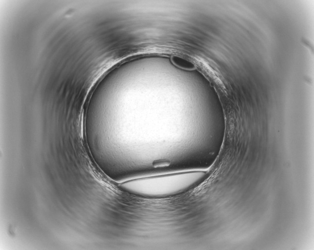 X0000093411276200711020947