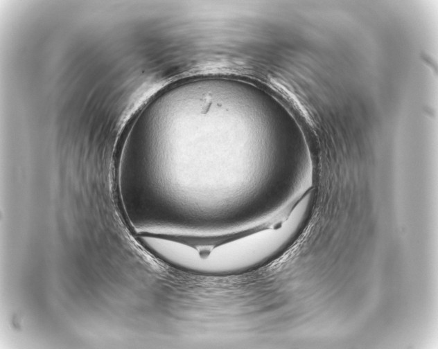 X0000093411277200711020947