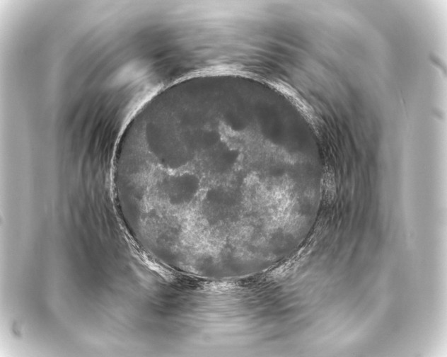 X0000093411278200711020947