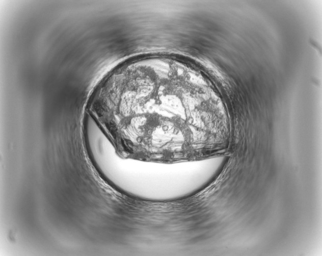 X0000093411279200711020947