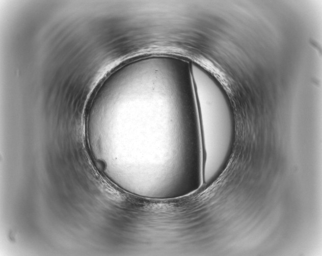 X0000093411280200711020947