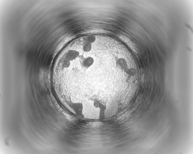 X0000093411282200711020947