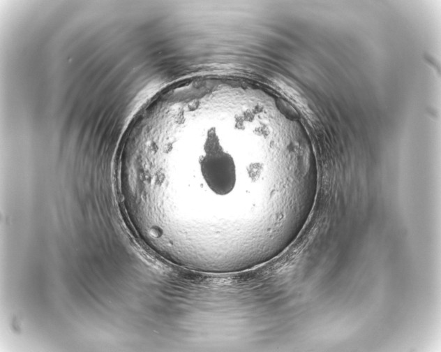 X0000093411283200711020947