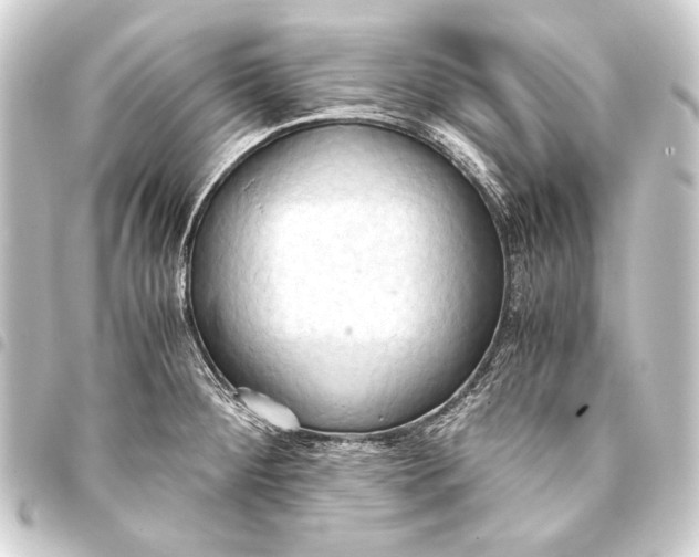 X0000093411284200711020947