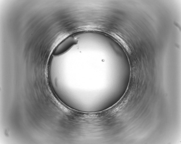 X0000093411285200711020947