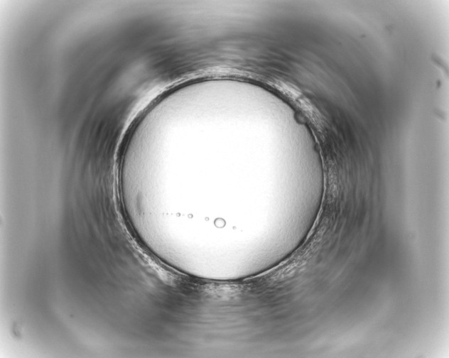 X0000093411286200711020947