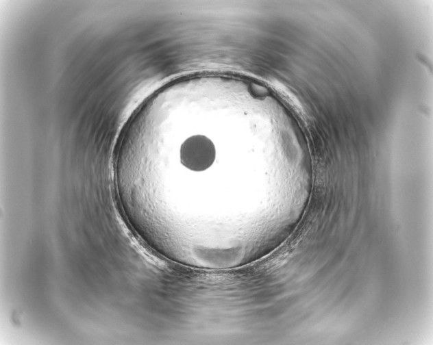 X0000093411287200711020947