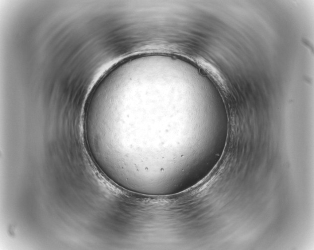 X0000093411288200711020947