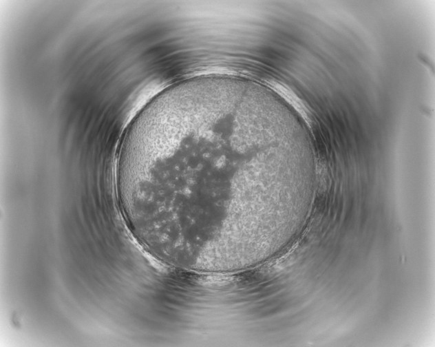 X0000093411290200711020947