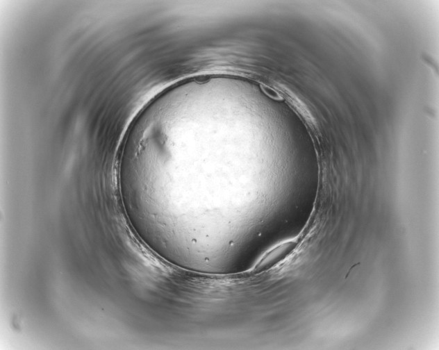 X0000093411292200711020947