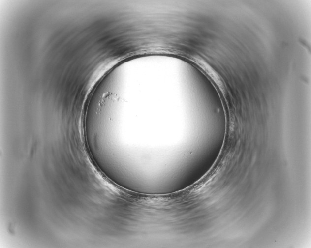 X0000093411293200711020947