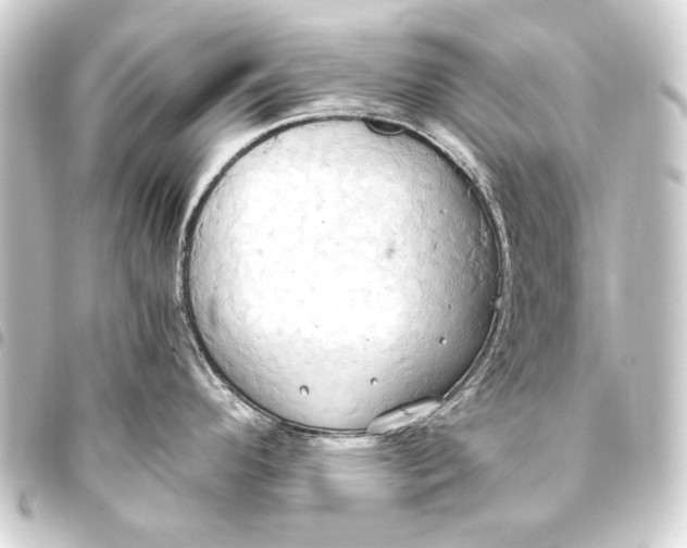 X0000093411296200711020947