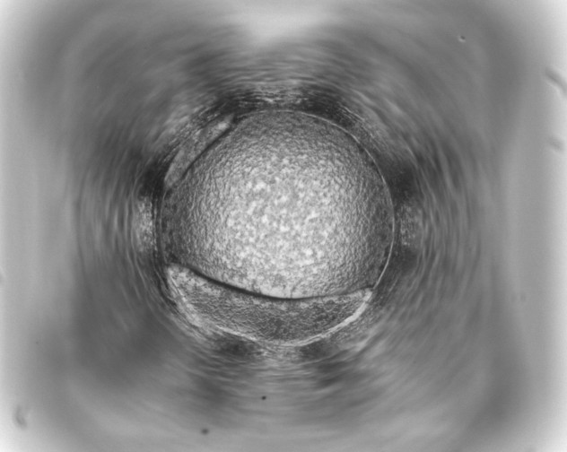 X0000093411298200711020946