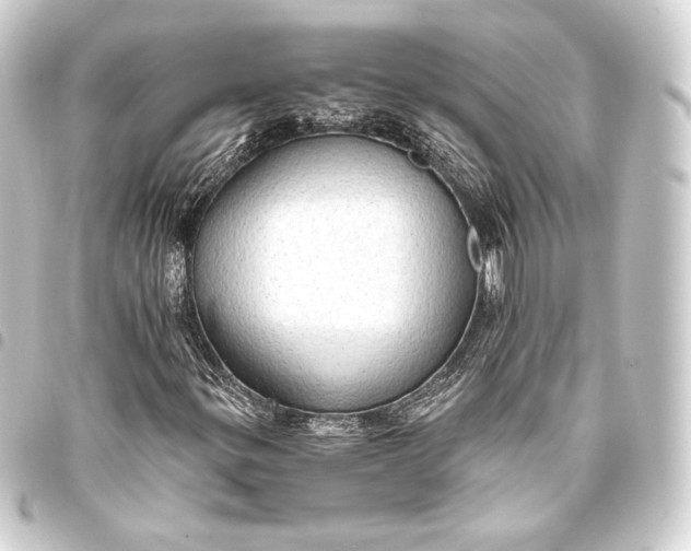 X0000093411299200711020946