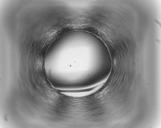 X0000093411300200711020946