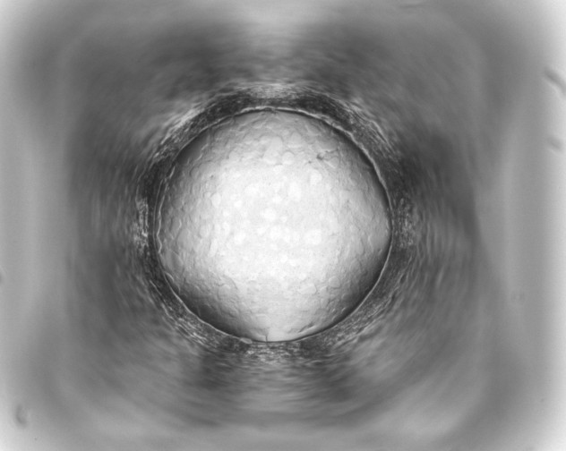 X0000093411301200711020946