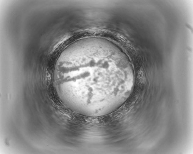 X0000093411302200711020946