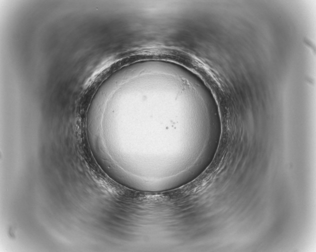 X0000093411304200711020946