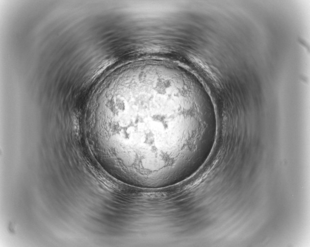 X0000093411305200711020947