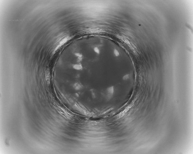 X0000093411306200711020947