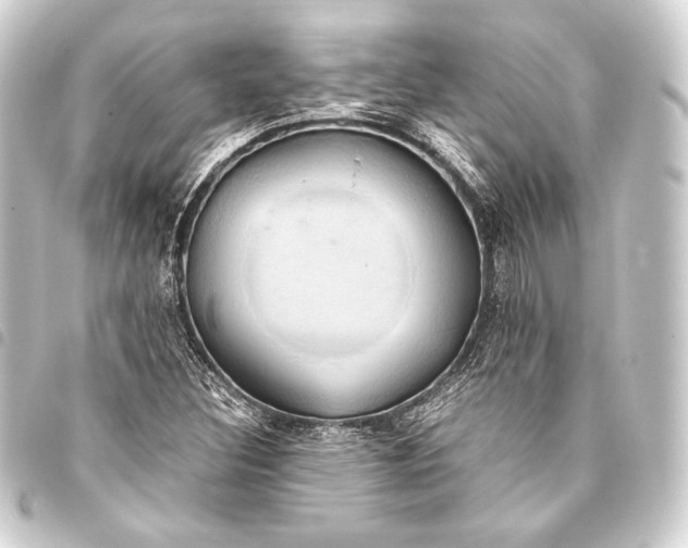 X0000093411308200711020947