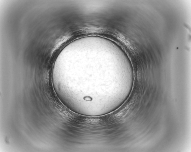 X0000093411309200711020947