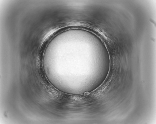 X0000093411311200711020947