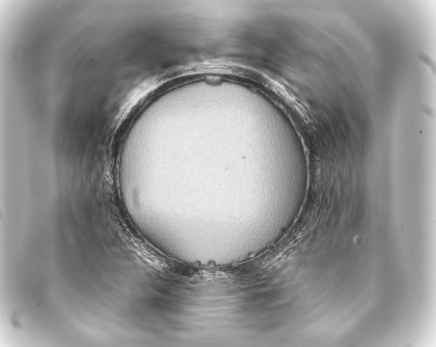 X0000093411312200711020947