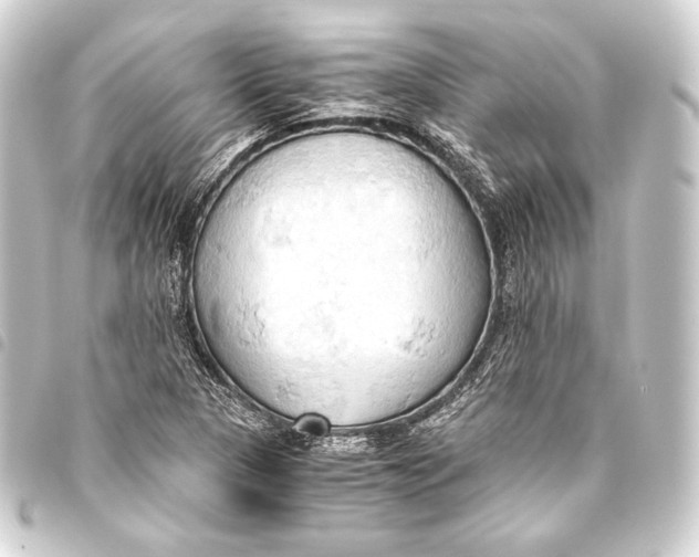 X0000093411313200711020947