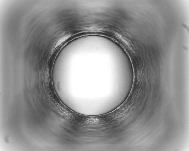 X0000093411315200711020947