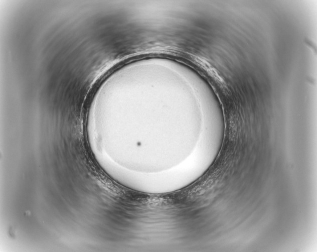 X0000093411316200711020947