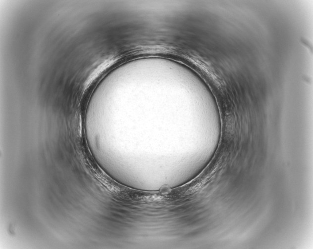 X0000093411317200711020947