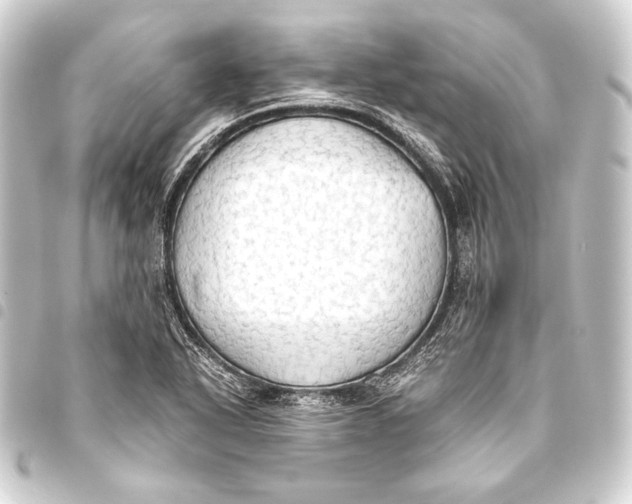 X0000093411318200711020947