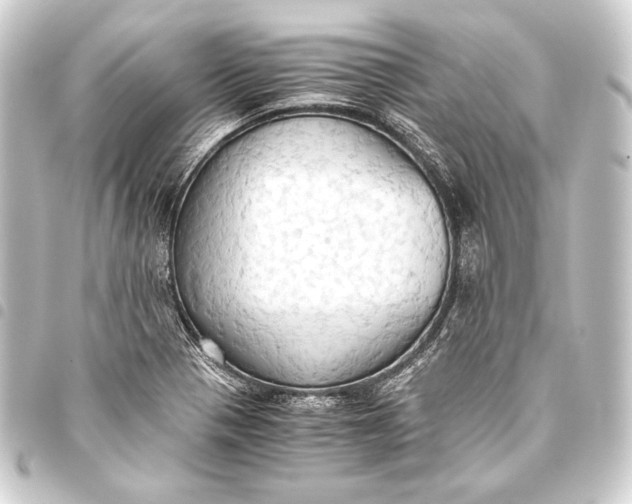 X0000093411321200711020947