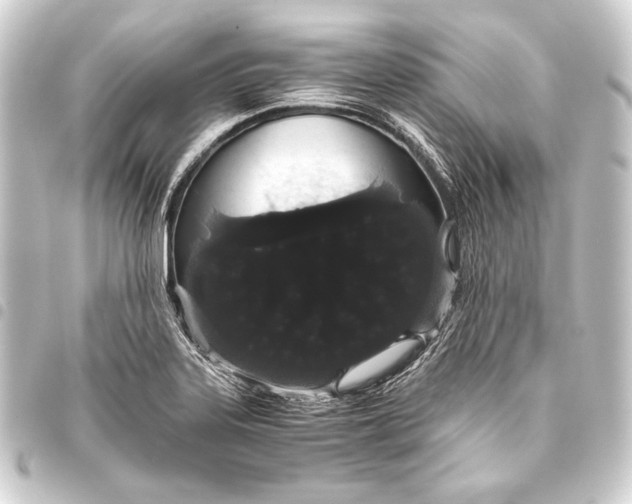 X0000093411323200711020947