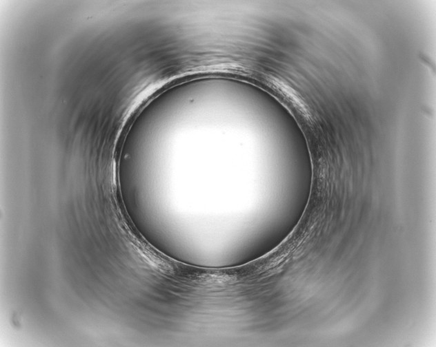 X0000093411324200711020947