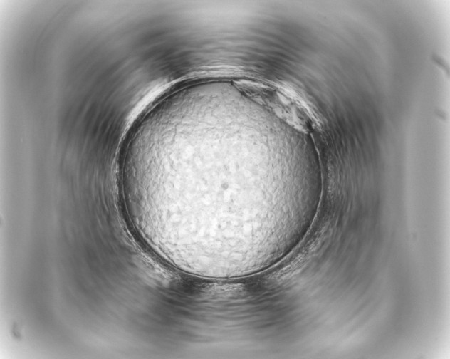 X0000093411325200711020947