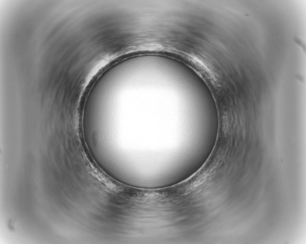 X0000093411326200711020947