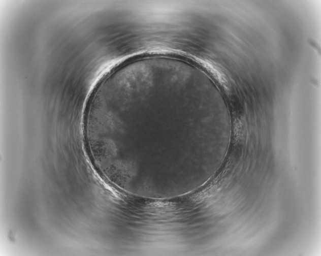 X0000093411327200711020947