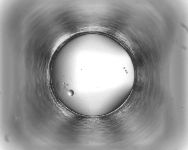 X0000093411328200711020947