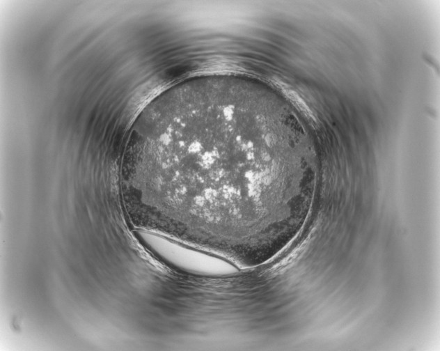 X0000093411329200711020947