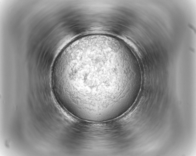 X0000093411333200711020947