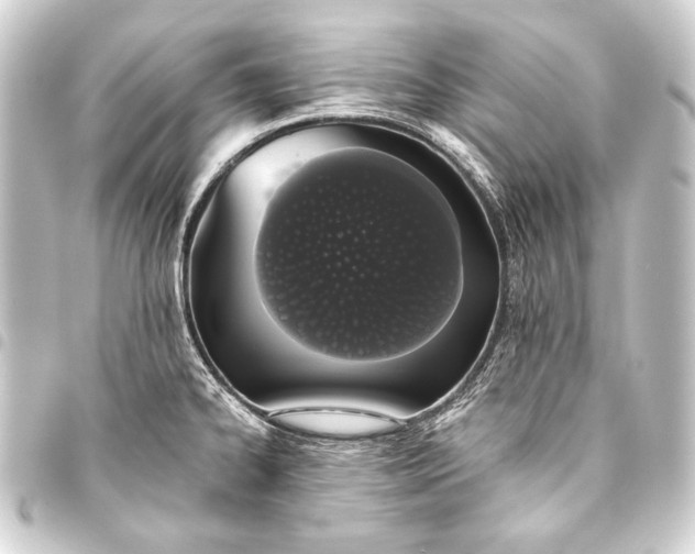 X0000093411334200711020947