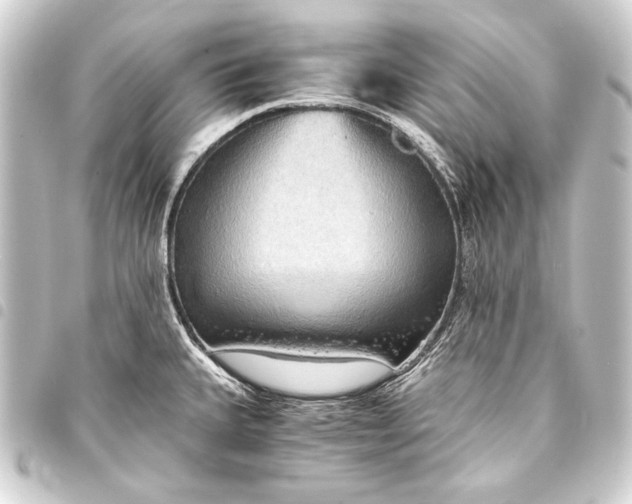 X0000093411335200711020947