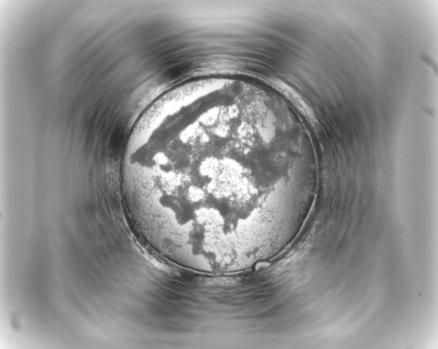 X0000093411337200711020947