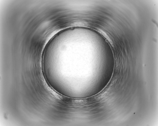 X0000093411339200711020947