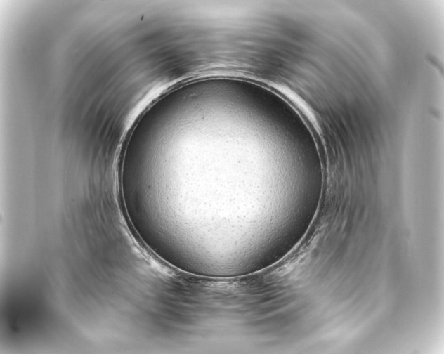 X0000093411341200711020947